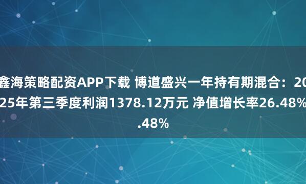 鑫海策略配资APP下载 博道盛兴一年持有期混合：2025年第三季度利润1378.12万元 净值增长率26.48%