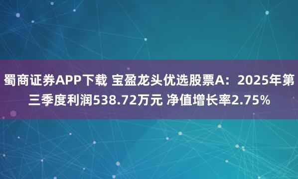 蜀商证券APP下载 宝盈龙头优选股票A：2025年第三季度利润538.72万元 净值增长率2.75%
